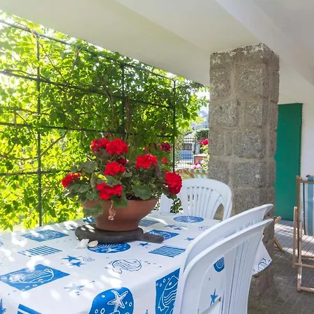 Apartment Oleandro Rosa - Goelba
